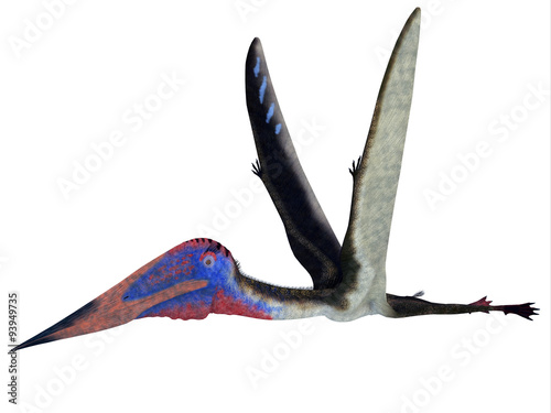 Zhejiangopterus Pterosaur - Zhejiangopterus was a carnivorous pterosaur dinosaur that lived in China during the Cretaceous Period. photo