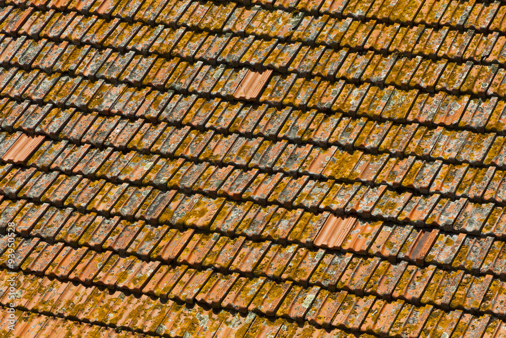 Orange tile rooftops in Porto old town, Portugal
