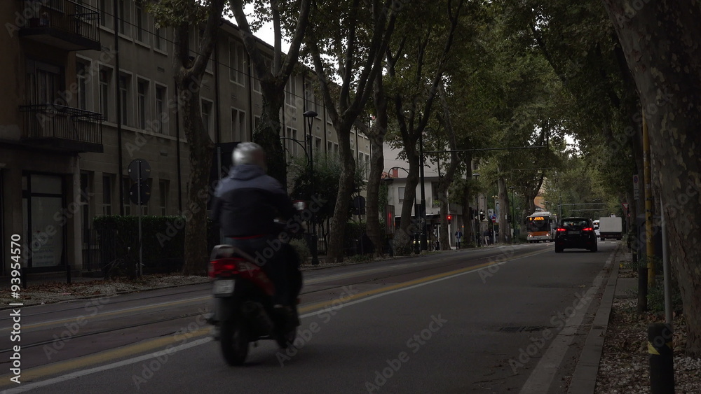 custom made wallpaper toronto digitalVenice Italy Mestre city tree lines street traffic fast 4K 006