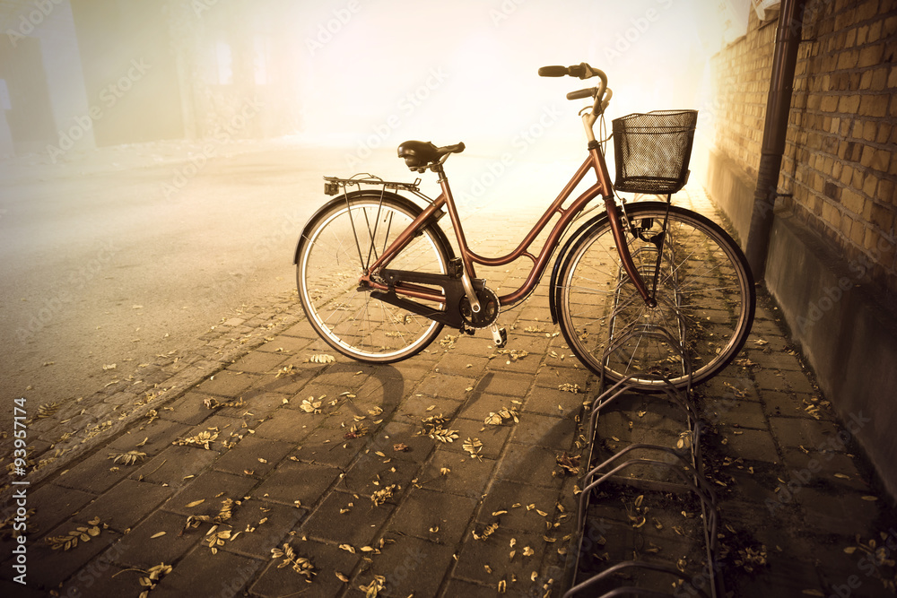 Bike in autumn