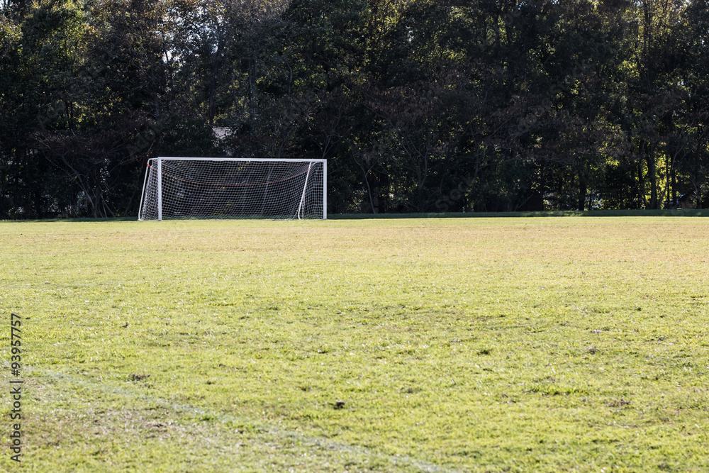 Fototapeta premium Soccer field with background of a soccer goal and trees. 