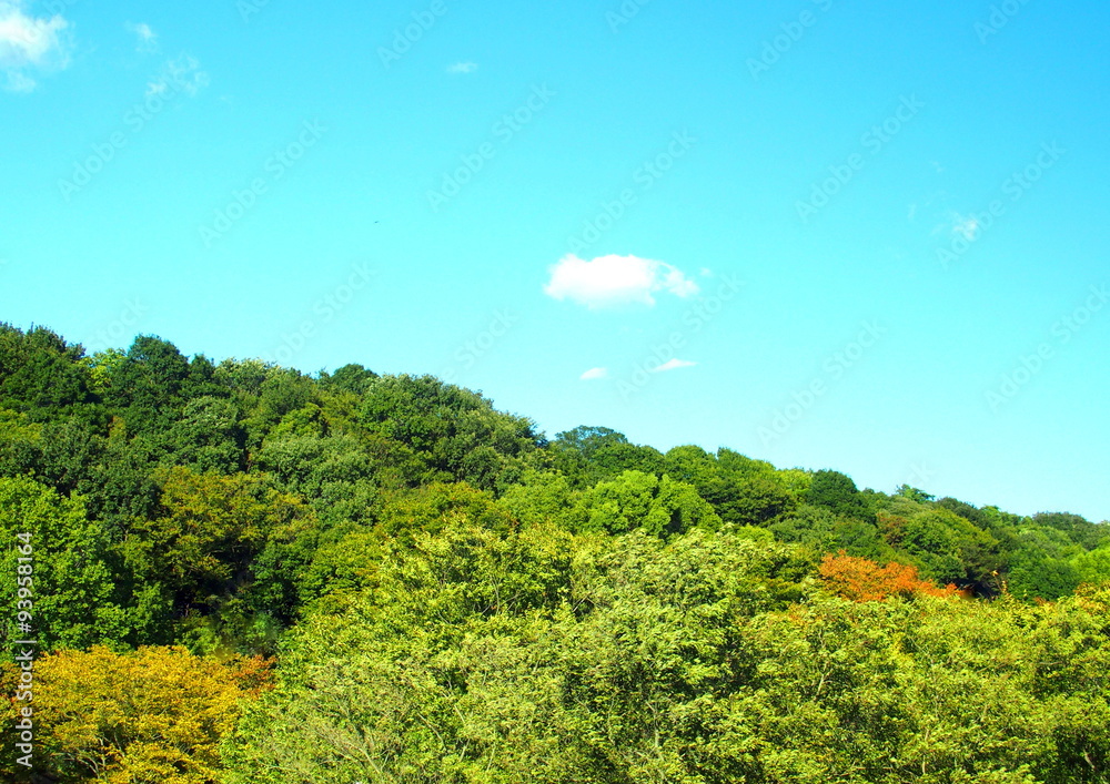 秋の山 秋の山