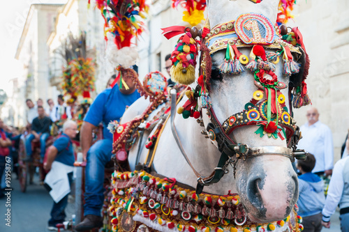 Close up view of the horse of a sicilian cart and its ornamental harness