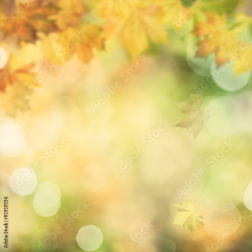Autumnal fall, abstract environmental backgrounds