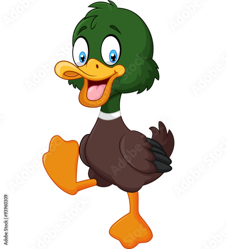 Cartoon baby duck isolated on white background