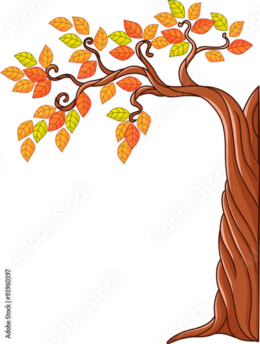 Autumn tree isolated on white background