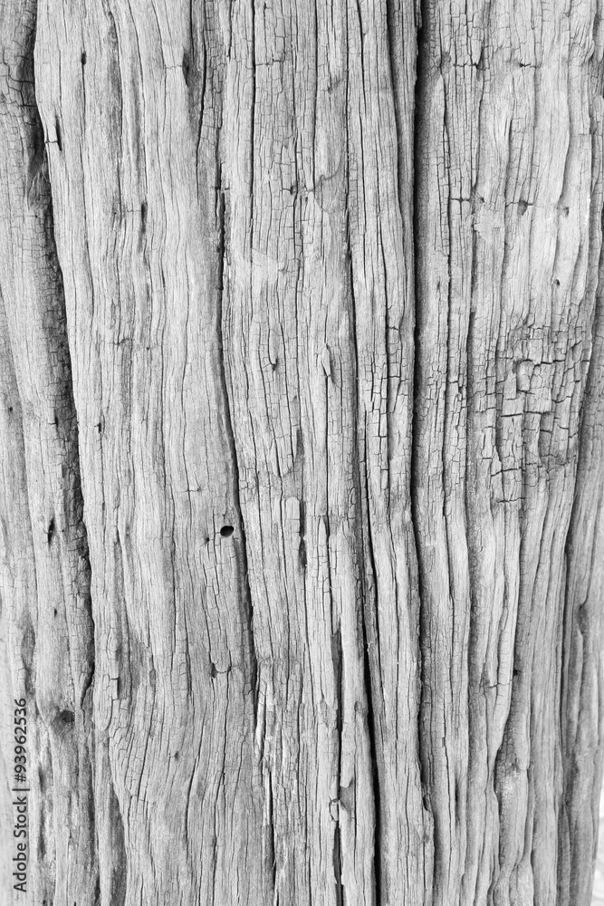 Old wood skin