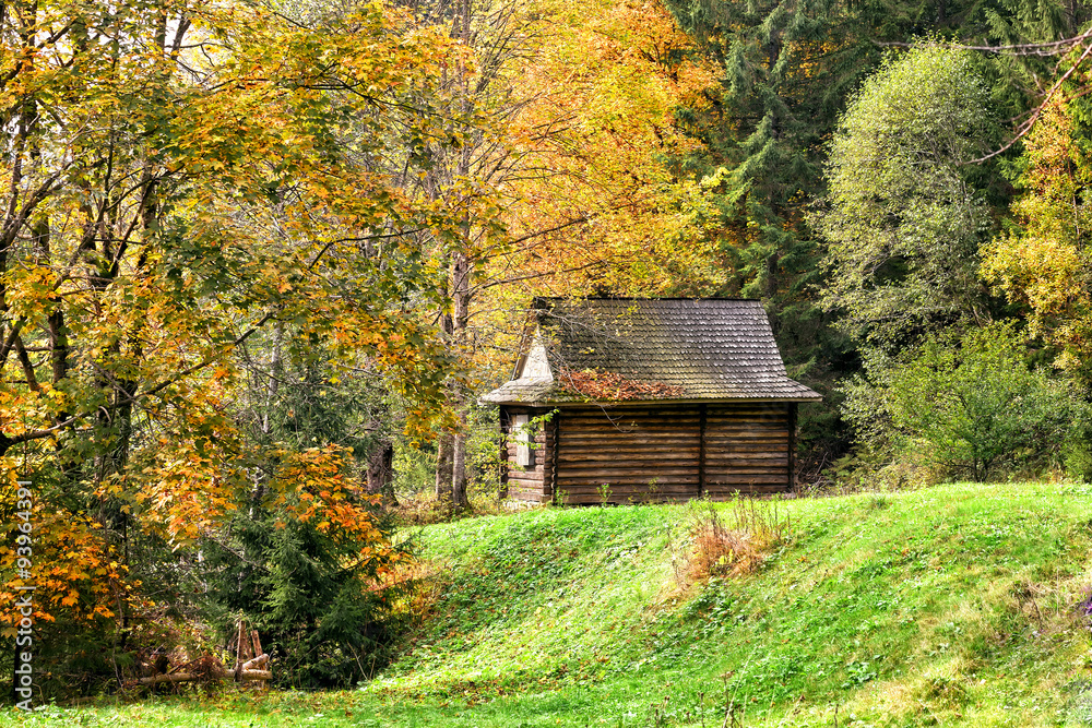 Wooden house in the autumn forest