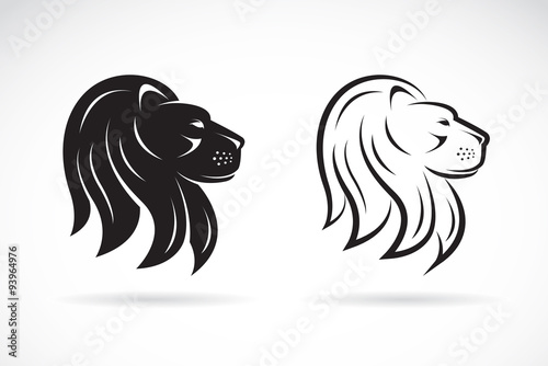 Vector image of an lions head design on white background
