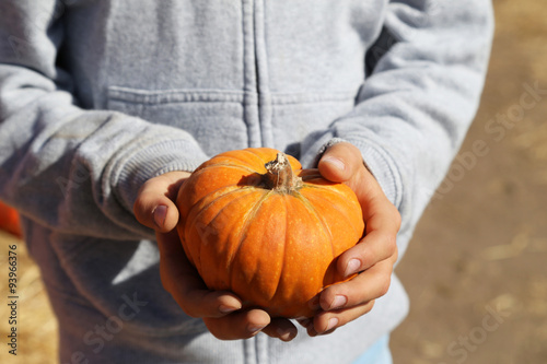  small orange pumpkin in hands