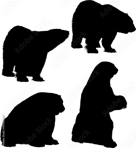 four polar bears isolated black silhouettes