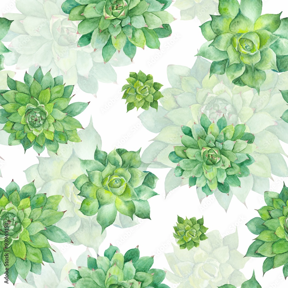Watercolor Succulent Pattern on White Background