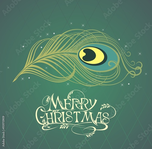 Vector isolated peacock feather.Merry Christmas