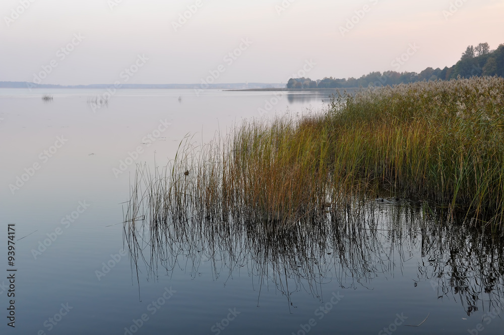 gradient river, water, lake Yugla, Riga, Latvia gradient river, water, lake Yugla, Riga, Latvia