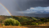 Sardinian Thunderstorm