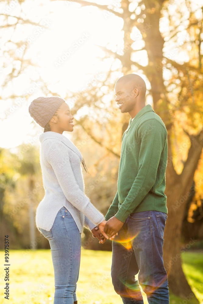 Portrait of a lovely smiling young couple Portrait of a lovely smiling young couple