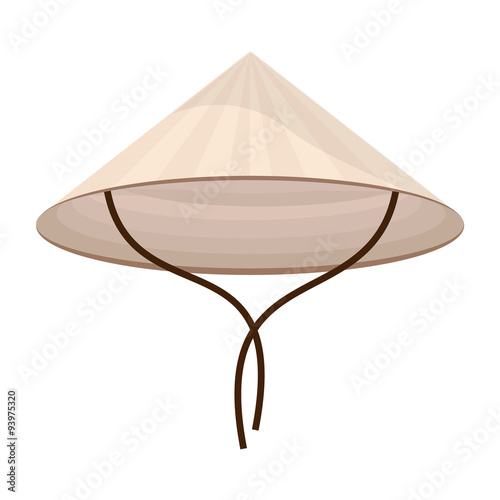 Chinese conical hat