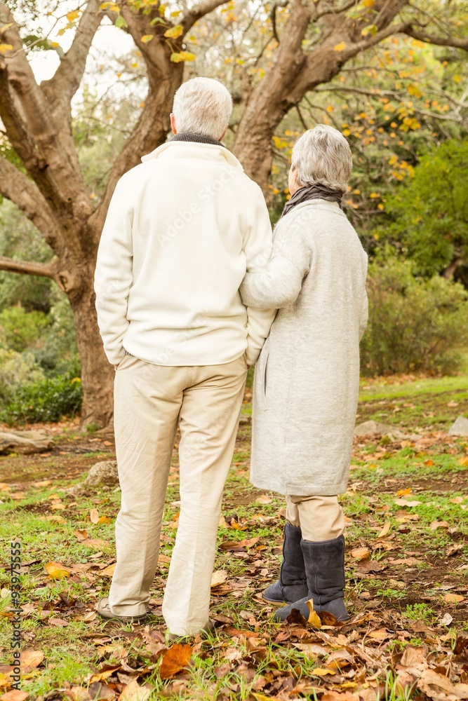 Senior couple in the park Senior couple in the park