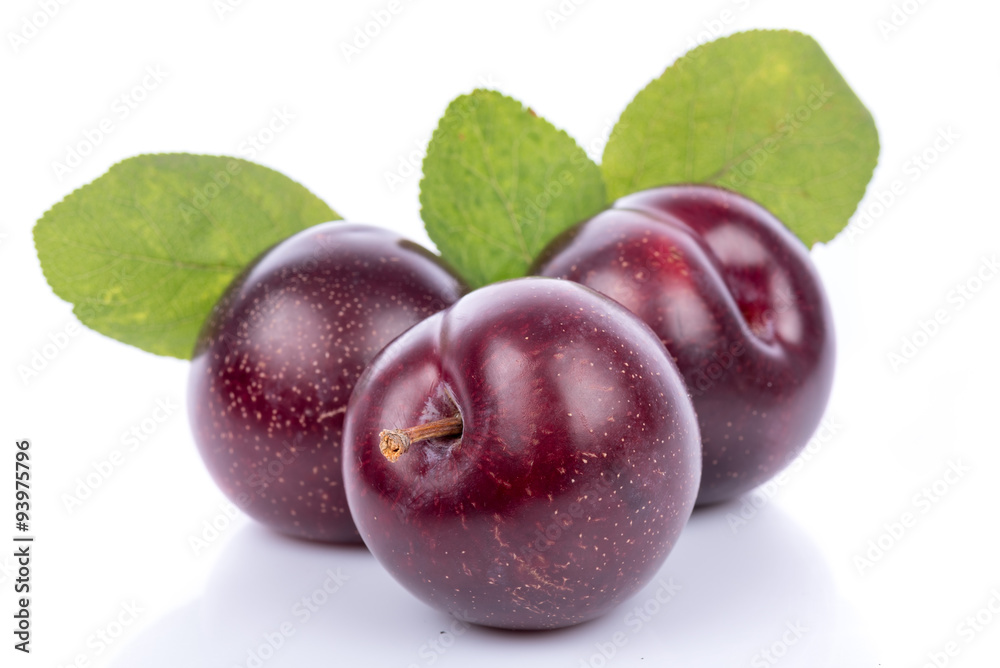 Fototapeta premium Ripe purple cherry plums