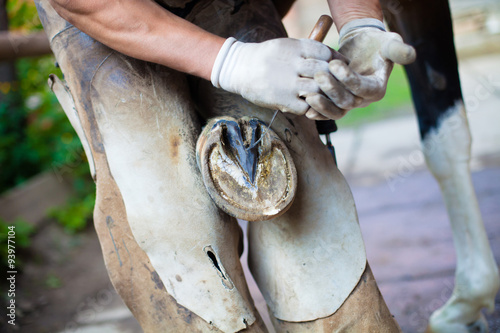 Fototapeta Naklejka Na Ścianę i Meble -  Detail of blacksmith's strong hands cutting out a horse hoof