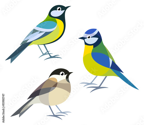 Stylized Birds - Great Tit, Blue Tit, Willow Tit