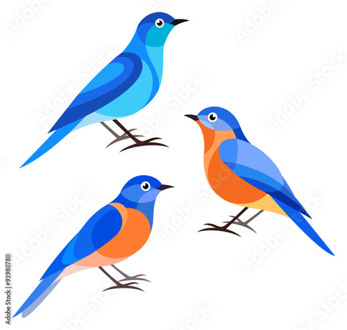 Stylized Birds - Bluebird