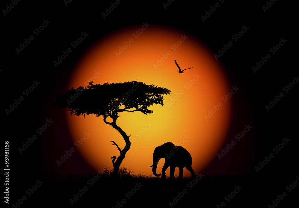 África, elefante, sol, ilustración, fondo negro