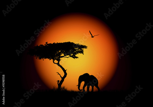 África, elefante, sol, ilustración, fondo negro © Maika