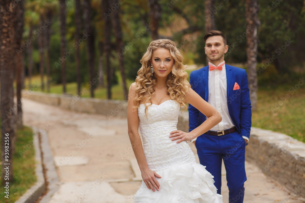 The bride and groom - the photograph in the Park. The bride and groom - the photograph in the Park.