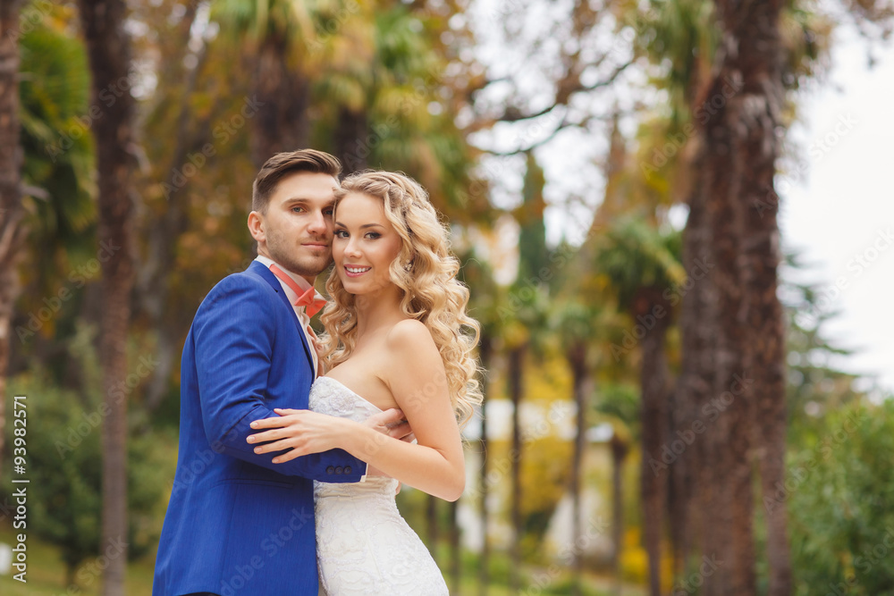 The bride and groom - the photograph in the Park. The bride and groom - the photograph in the Park.