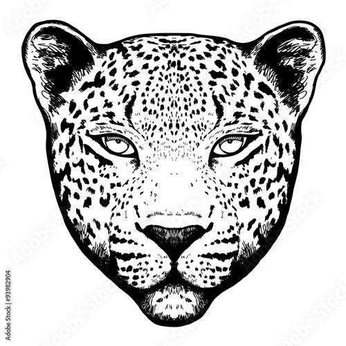 Graphical leopard head -illustration