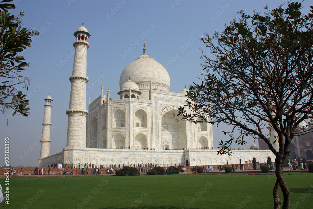Le Taj Mahal à Agra, Inde du Nord