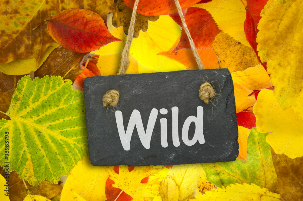 Naklejka premium Wild