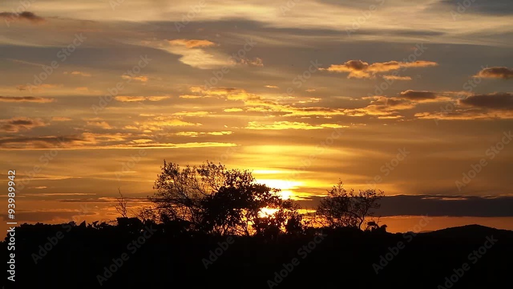 Sunset on the Vineyard French