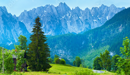Alps summer country panorama (Austria). © wildman