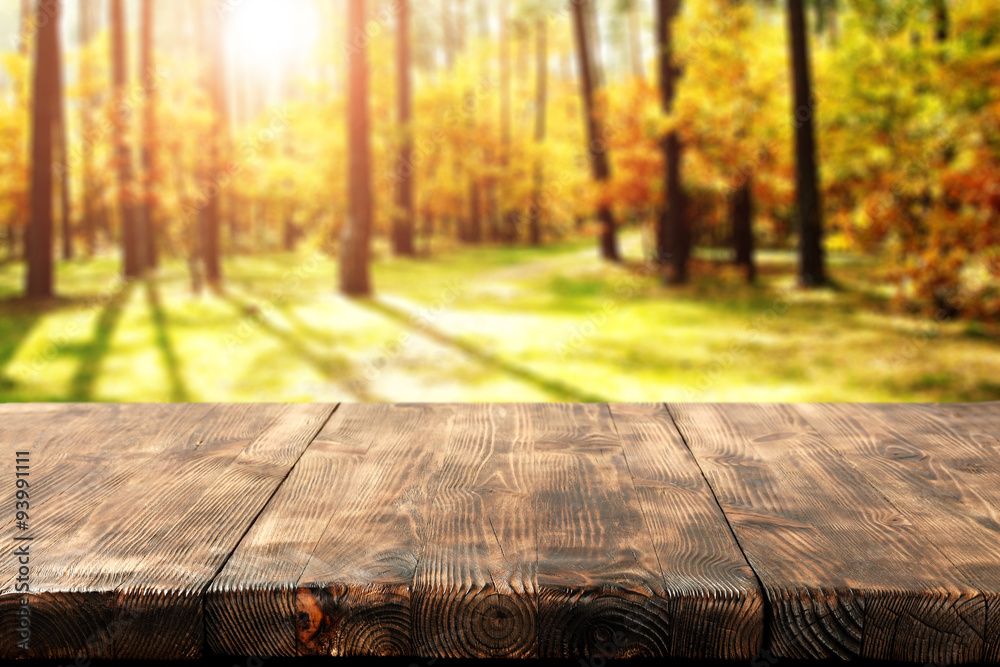 autumn time autumn time