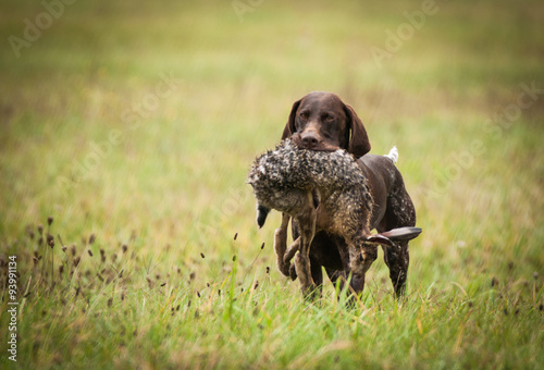 Retrieving