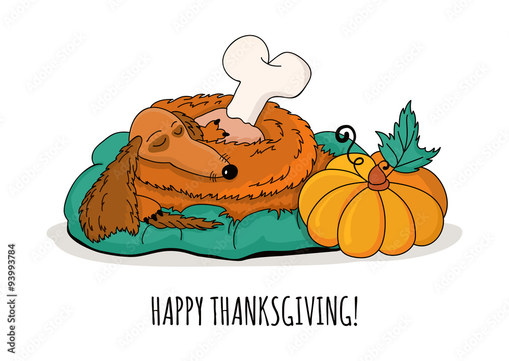 Sleeping dachshund dog with turkey leg and pumpkin, isolated on Sleeping dachshund dog with turkey leg and pumpkin, isolated on