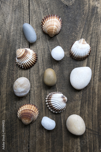 Sea shells and pebbles on an old wooden plank