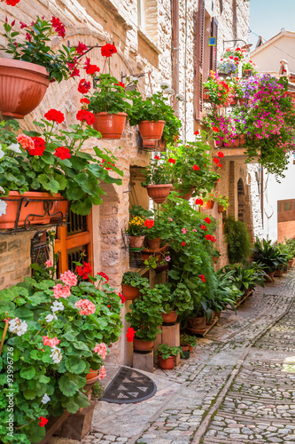 Fototapeta Naklejka Na Ścianę i Meble -  Full of flower porch in small town in Italy, Umbria