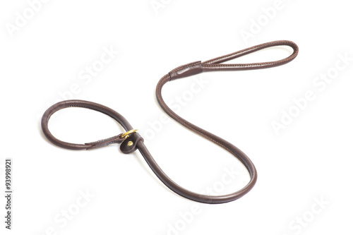 Fototapeta Naklejka Na Ścianę i Meble -  lead-stranglehold for dog