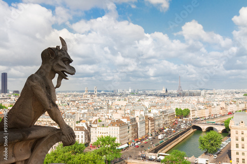Gargoyle of  Paris © neirfy