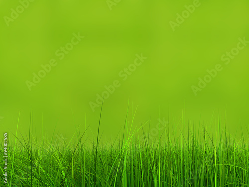 Conceptual green 3d grass field or lawn on green background