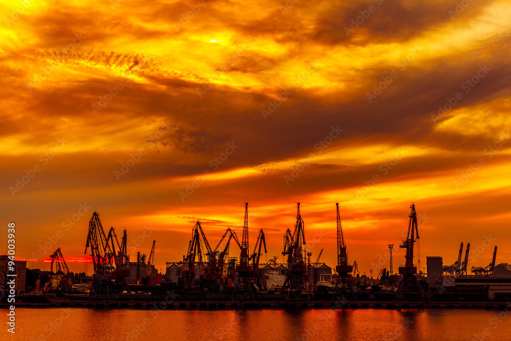 Silhouette of port cranes in a harbor