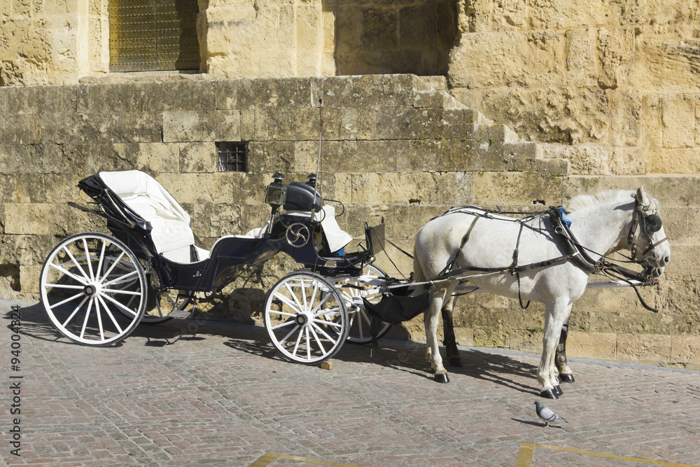 Horse carriage parked next to the mosque of Cordoba. Andalusia, Spain.