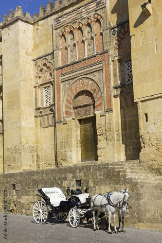 Horse carriage parked next to the mosque of Cordoba. Andalusia, Spain.