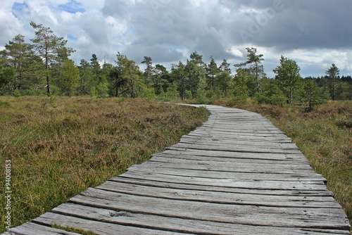 Holzbohlenweg durch das Schwarze Moor in der Rhön 