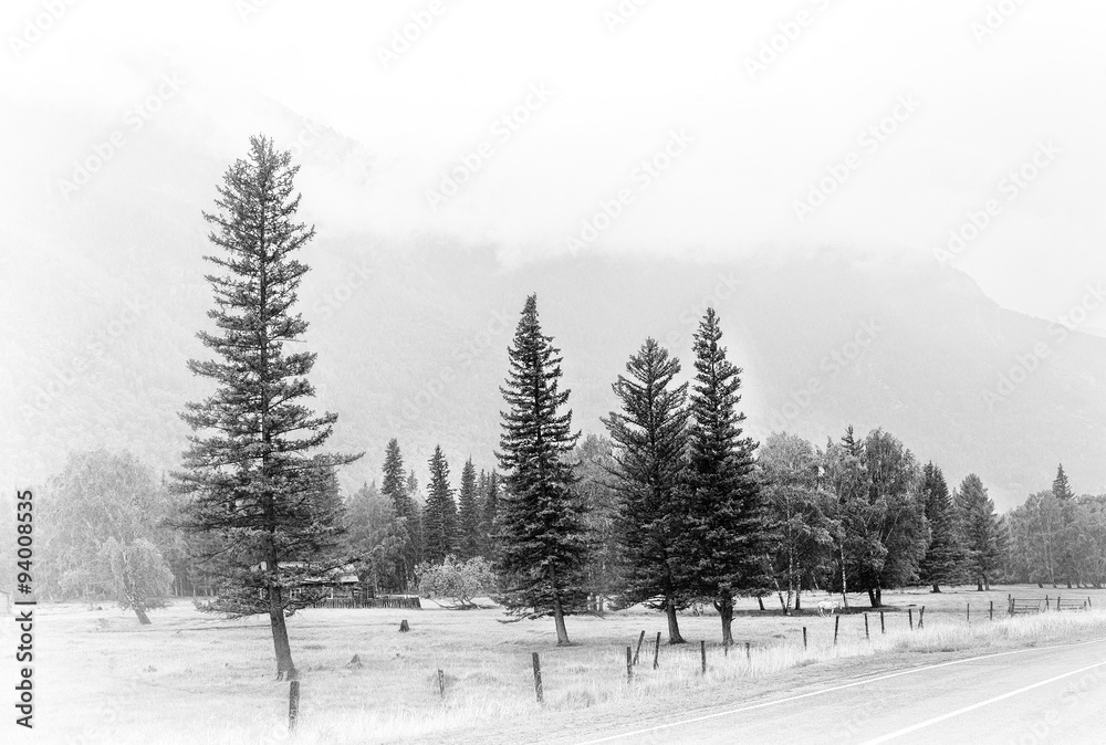 Obraz premium fog in the mountain tops day Altai valey
