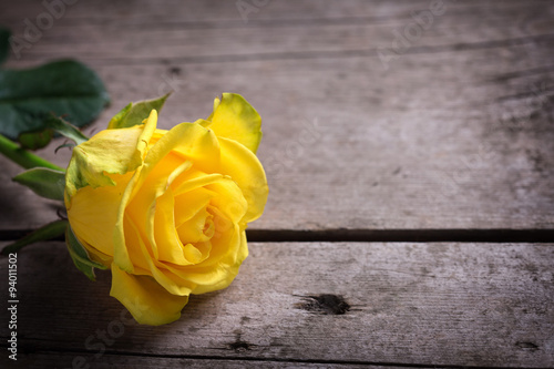 Fototapeta Naklejka Na Ścianę i Meble -  Background with yellow rose on wooden table