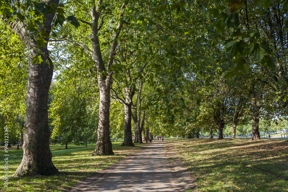 Hyde Park in London